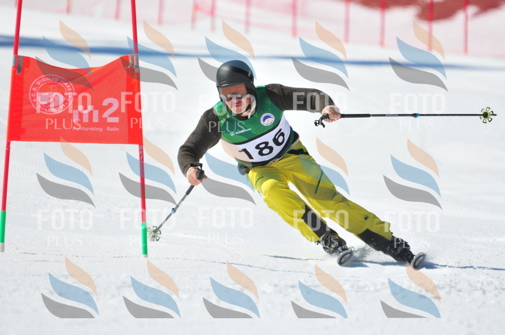 C4339 | holidayphoto