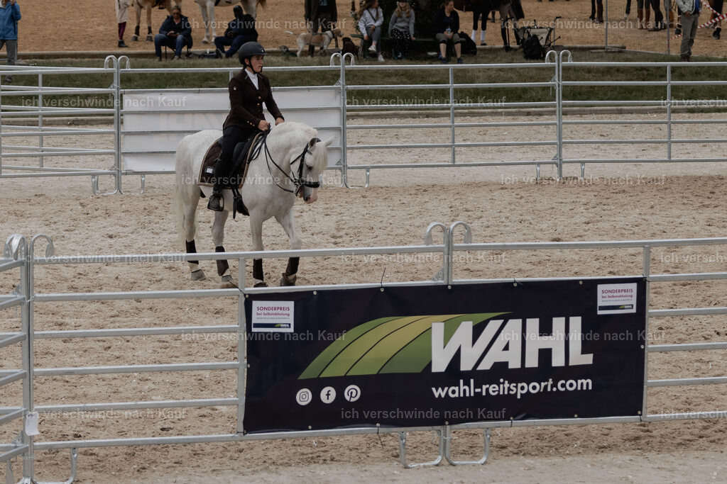 WE__Stoib_Rinder_PI2025_3181 | Pferd International München 2025