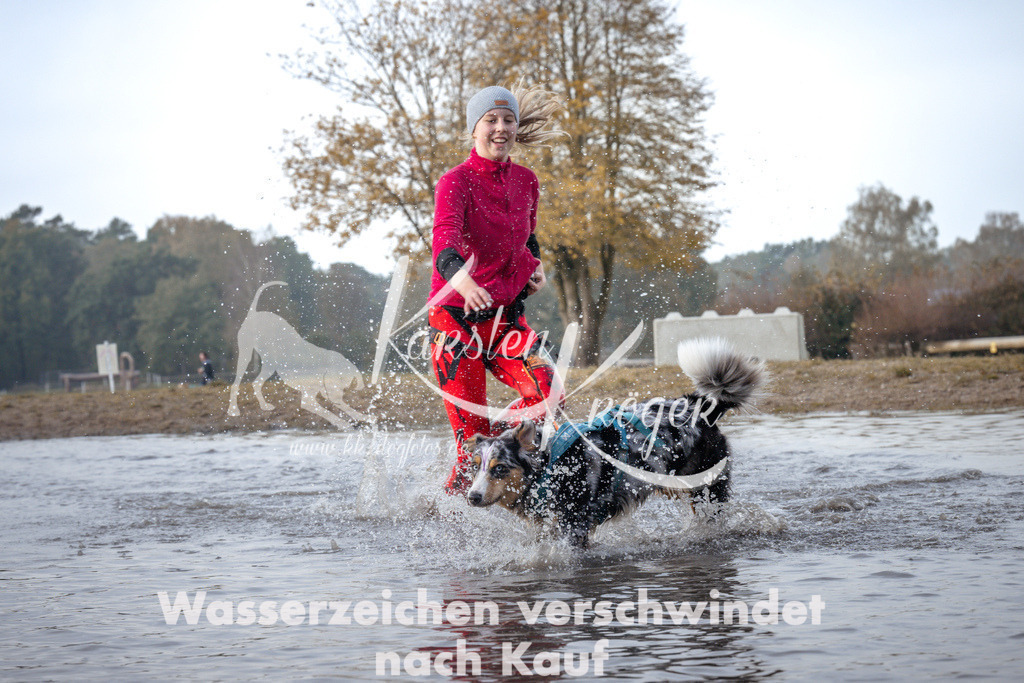 1124_ZZ94546 | kk-dogfotos