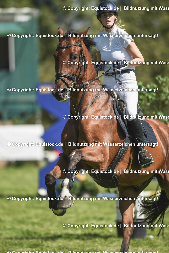 20230909_18_Springen_L_KSK-Böblingen_0146 | Foto: Thomas Hartig