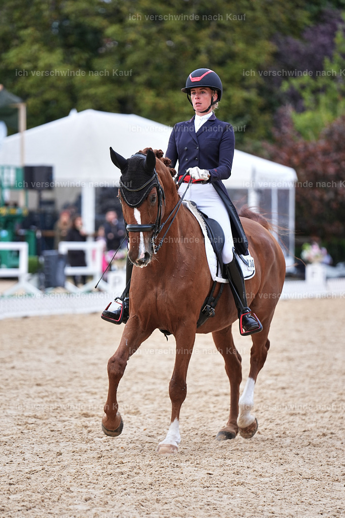 12-238-DRESSUR  S___  -Marixx-5212 | working equitationturnier fotograf videograf stoibphotography marixx film working equitation deutschland reitsport turnierfotografie eventfotografie equestrian events