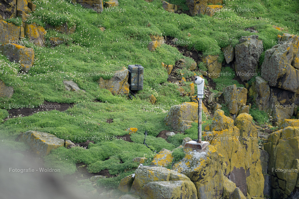 20230815 Isle of Sky - St.Andrews - Dundee-90 | Fotografie Woldron