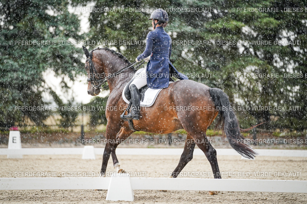 DSC08045 | Pferdegrafie