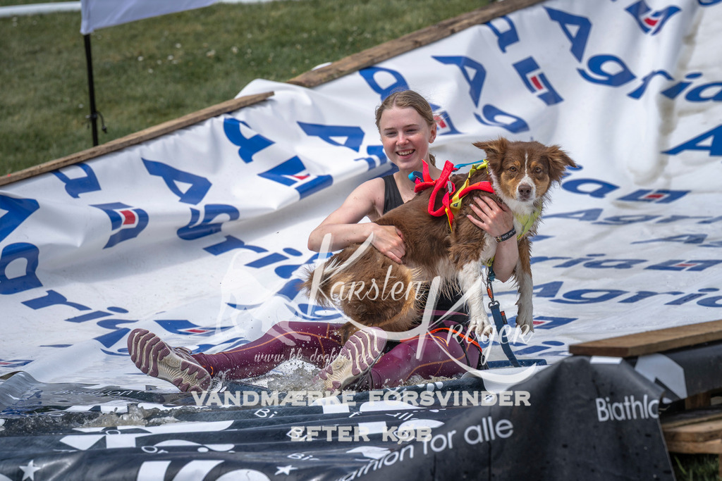 1207_ZZ95525 | kk-dogfotos