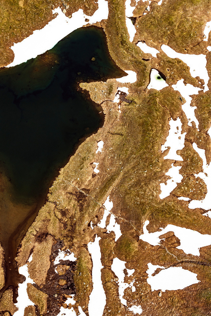 dr__0026360.jpg | RANEBURGER SEE 25.06.2019 Uferbereiche am Seegebiet des Raneburger See in den Alpen in Tirol, Österreich. // Riparian areas on the lake area of Raneburger See in a forest area in in Tirol, Austria. Foto: Daniel Reiter