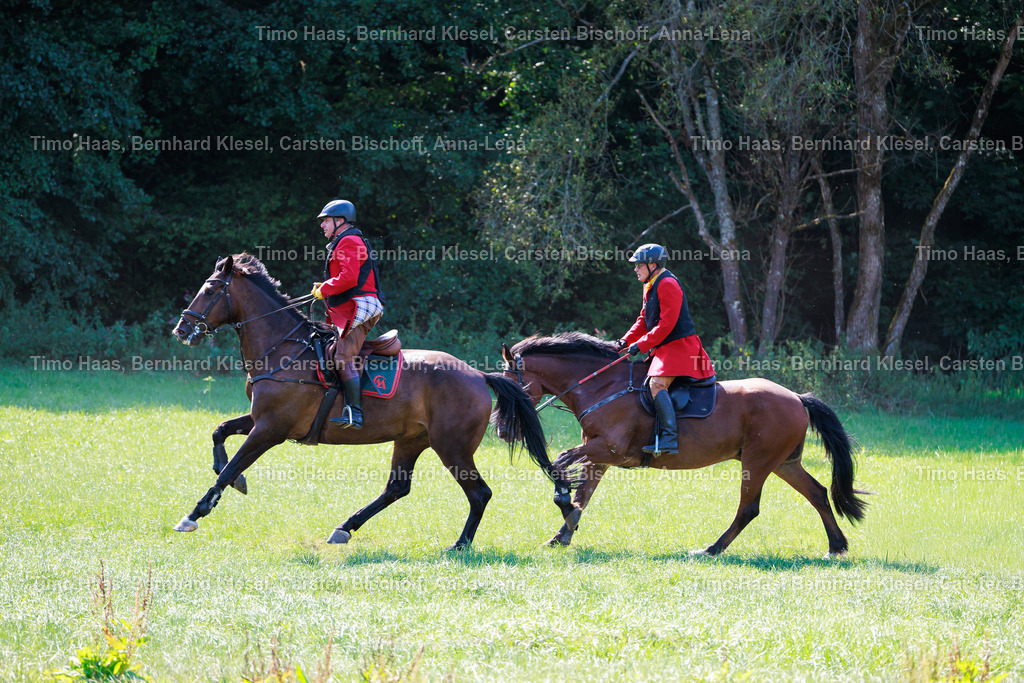 IMG_8866 | foto-team-bernhard - Realisiert mit Pictrs.com