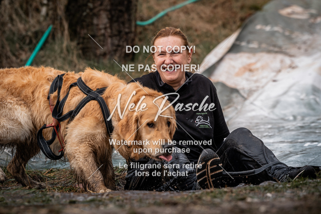 nelerasche_1330-1400_143 | nelerasche