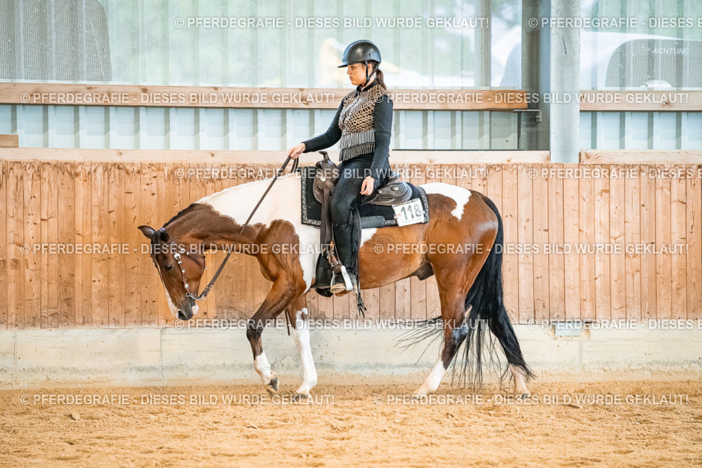 DSC00427 | Pferdegrafie