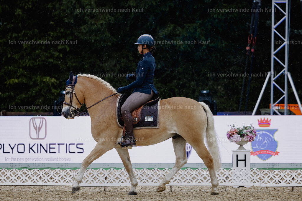 Tanesha5FHC2025-24827 | working equitationturnier fotograf videograf stoibphotography marixx film working equitation deutschland reitsport turnierfotografie eventfotografie equestrian events