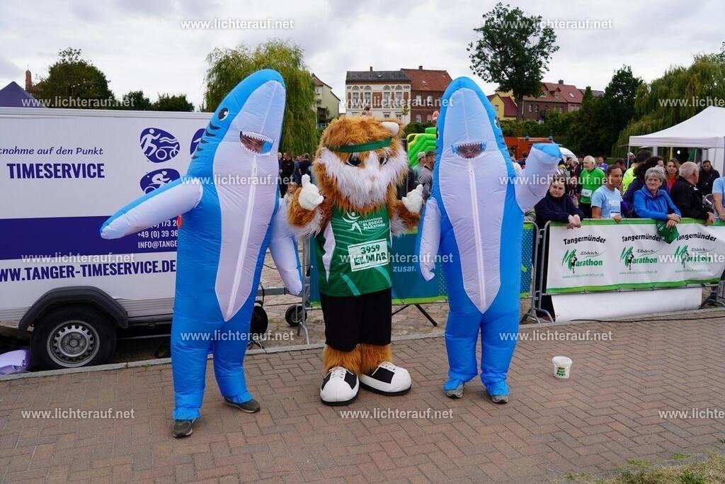 DSC05192 | Lichterlauf  - Realisiert mit Pictrs.com