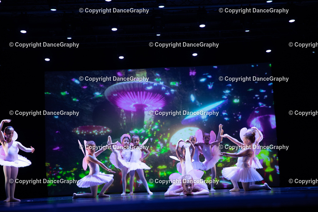 GPHY4750 | DanceGraphy - Realisiert mit Pictrs.com