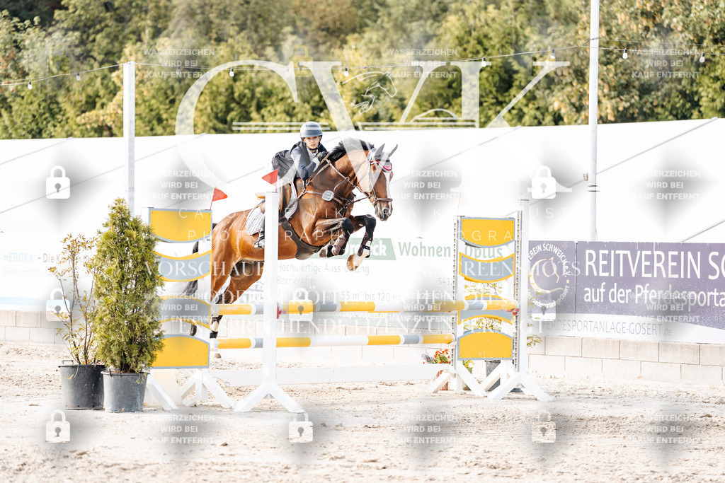 CK906863 | Turnierfotografie Pferdefotografie Trier Rheinland-Pfalz Pferdesport Reitsport Tierfotografie Sportfotografie Pferdevideo Pferdevideografie Equestrianvideography equestrianphotography  - Realisiert mit Pictrs.com