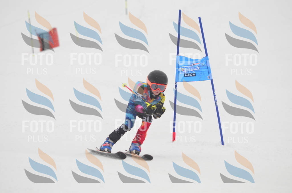 C1040 | holidayphoto