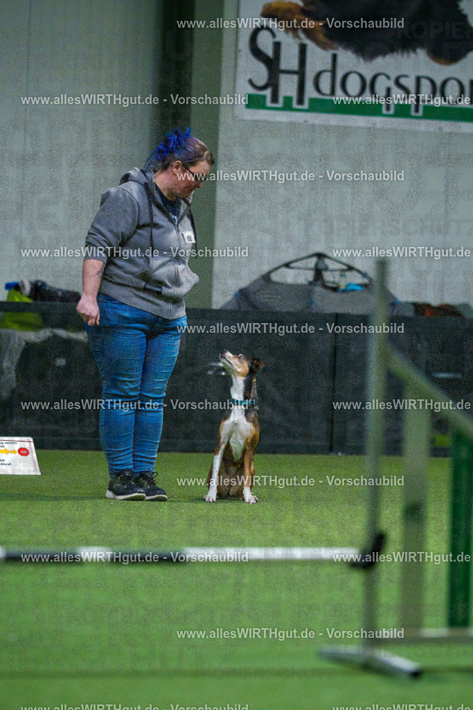 7R503791 | Professionelle Tierfotografie in Mönchengladbach von Daniel Wirth (allesWIRTHgut). Liebevolle & natürliche Bilder von Hunden & Katzen für unvergessliche Erinnerungen.