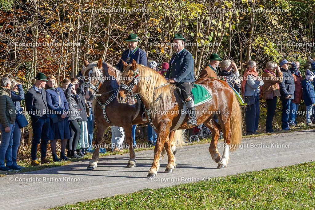 LBT25-137 | foto-bettina-krinner - Realisiert mit Pictrs.com