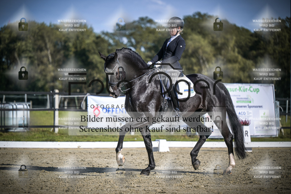DOS_2877 | Entdecke hochwertige Reitturnierfotos von Foto Oger. Professionell, emotional und authentisch – jetzt Lieblingsmomente im Shop bestellen.Deutschlandweite Turnierfotografie. - Realisiert mit Pictrs.com