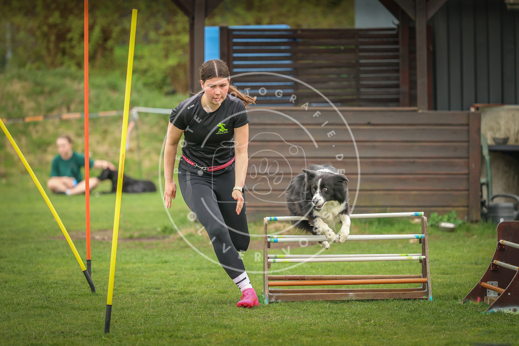 Pfotenfotografie_0L8A0781 | Hundefotografie, Tierfotograf, Pfotenfotografie, Fotoshooting Hund, Hunde Portrait, Hundesport, Hundeportraits, Heideshooting, Hunde, Sportfotograf, Hundefotograf, Turnierhundsport, THS,  - Realisiert mit Pictrs.com