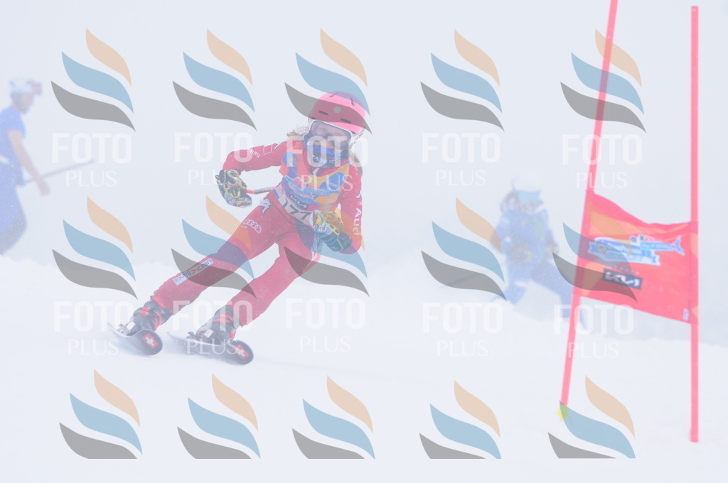 C2045 | holidayphoto