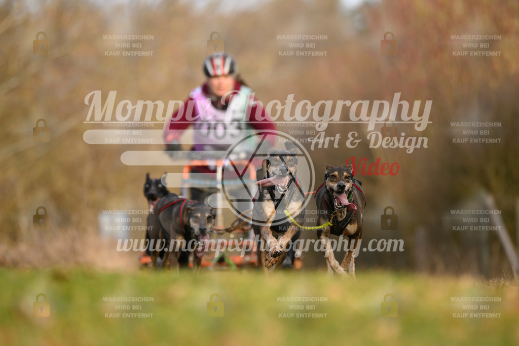 MompixPhotography_10Schwabentrail2026_SO_Kart-7 | PayLife