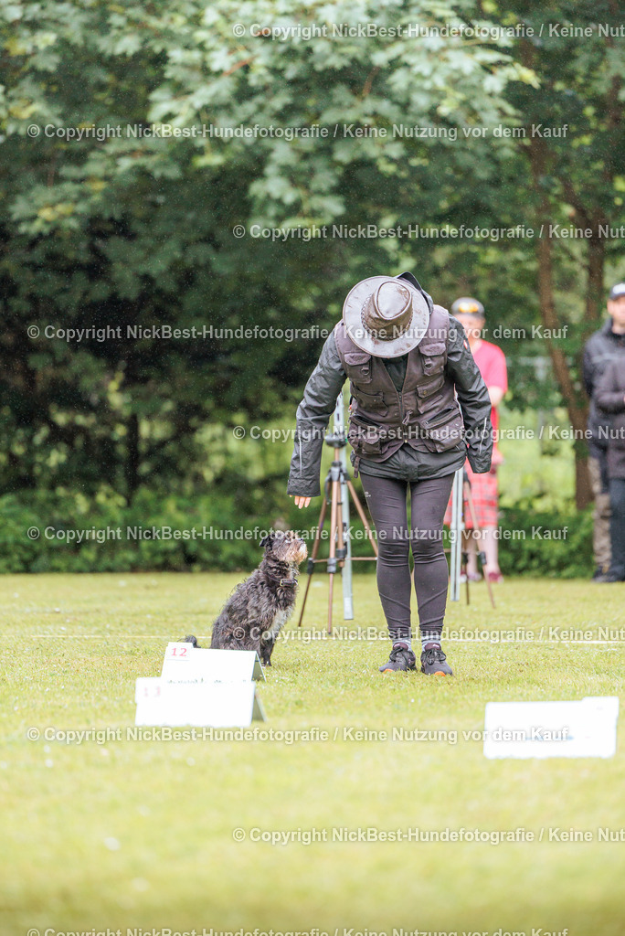 RO-Blumenthal-2026-Nickbest-Hundefotografie-0225 | Dein Hund! Dein Moment! Deine Erinnerungen! Hundefotografie in Bremen Blumenthal. Ich fange die besonderen Momente deines Vierbeiners ein – ob Indoor mit Blitzanlage oder in der freien Natur. Sicher dir dein Moment und dein Termin für eure Erinnerungen.