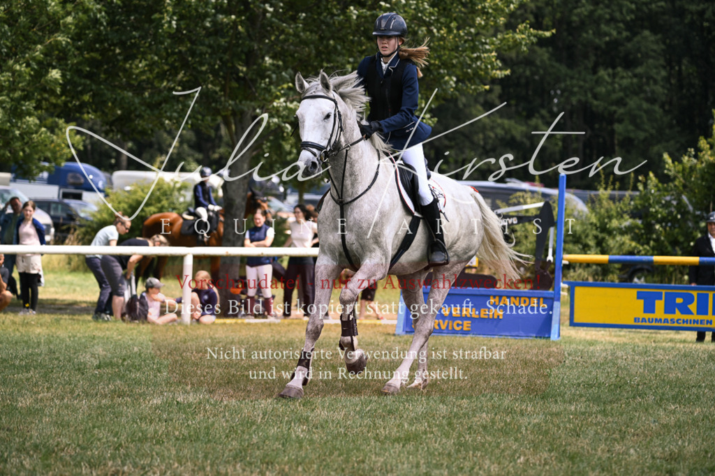 DSC_9300 | Pferde- und Turnierfotografie in Westsachsen. Pferdeportraits, Auftragszeichnungen und intuitive Kunst.