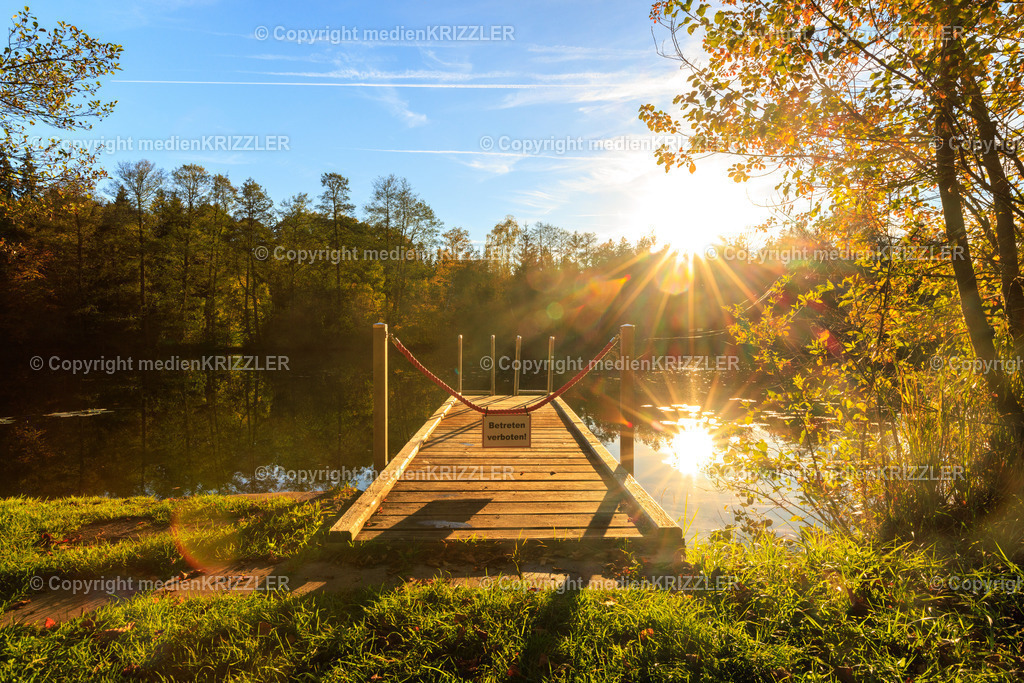 _J3A8758 | medienkrizzler - Realisiert mit Pictrs.com