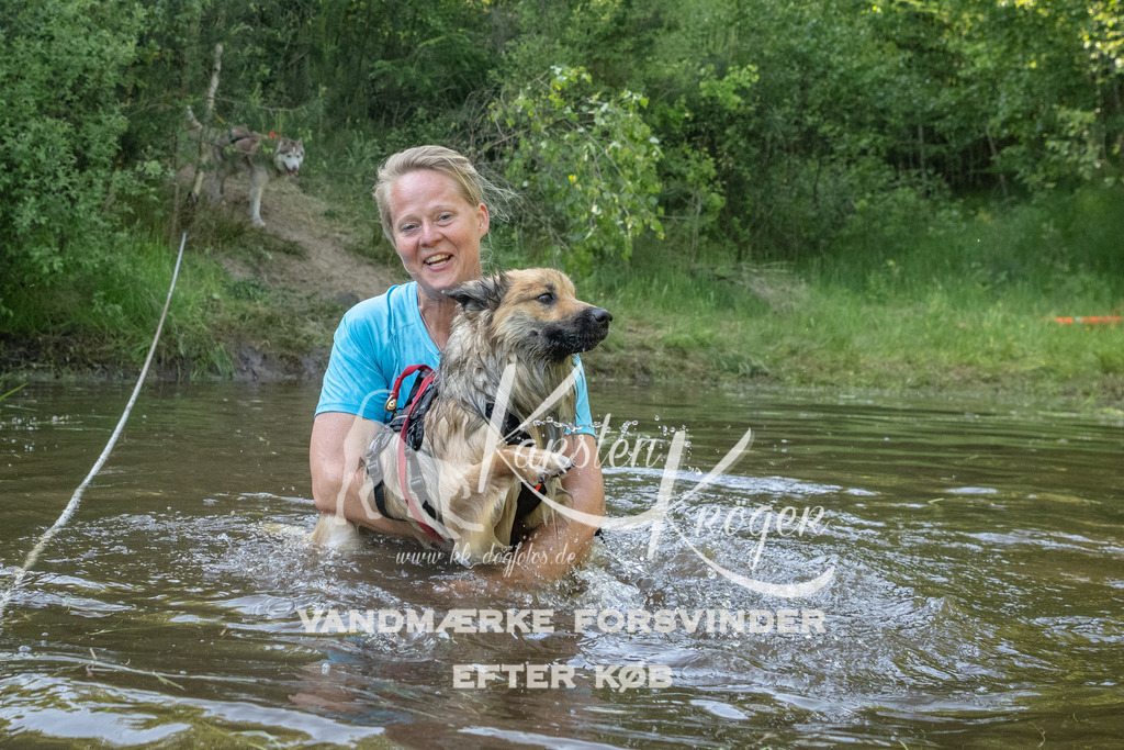 1749DKK992870 | kk-dogfotos