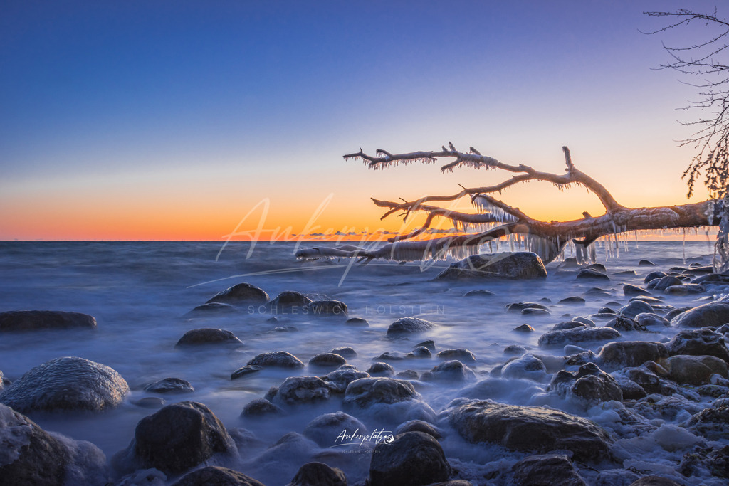 Baum im Eis auf Fehmarn | ankerplatz-schleswig-holstein - Realisiert mit Pictrs.com