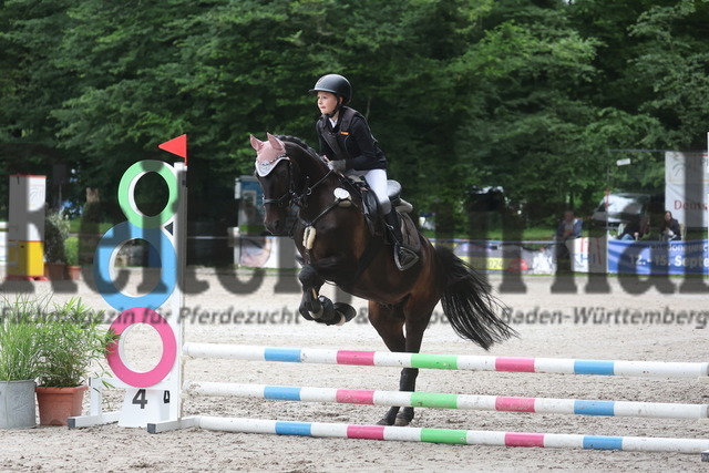 Ichenheim_2024_Prfg.Nr.26_Stilspring-WB_60cm_Anna-Lena Jerger_Nice Guy 11 (6) | Alle Fotos der Reiterjournal Fotografin Doris Matthaes im Reiterjournal Online-Fotoshop. - Realisiert mit Pictrs.com