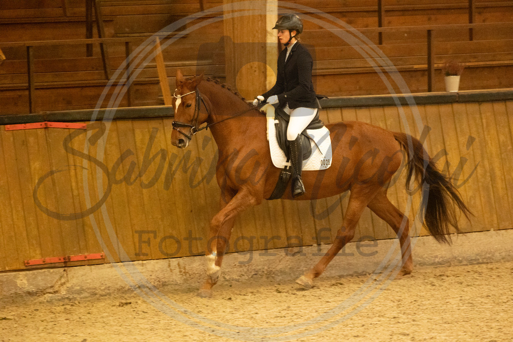 994A3433 | sabrinanicolaifotografie - Realisiert mit Pictrs.com