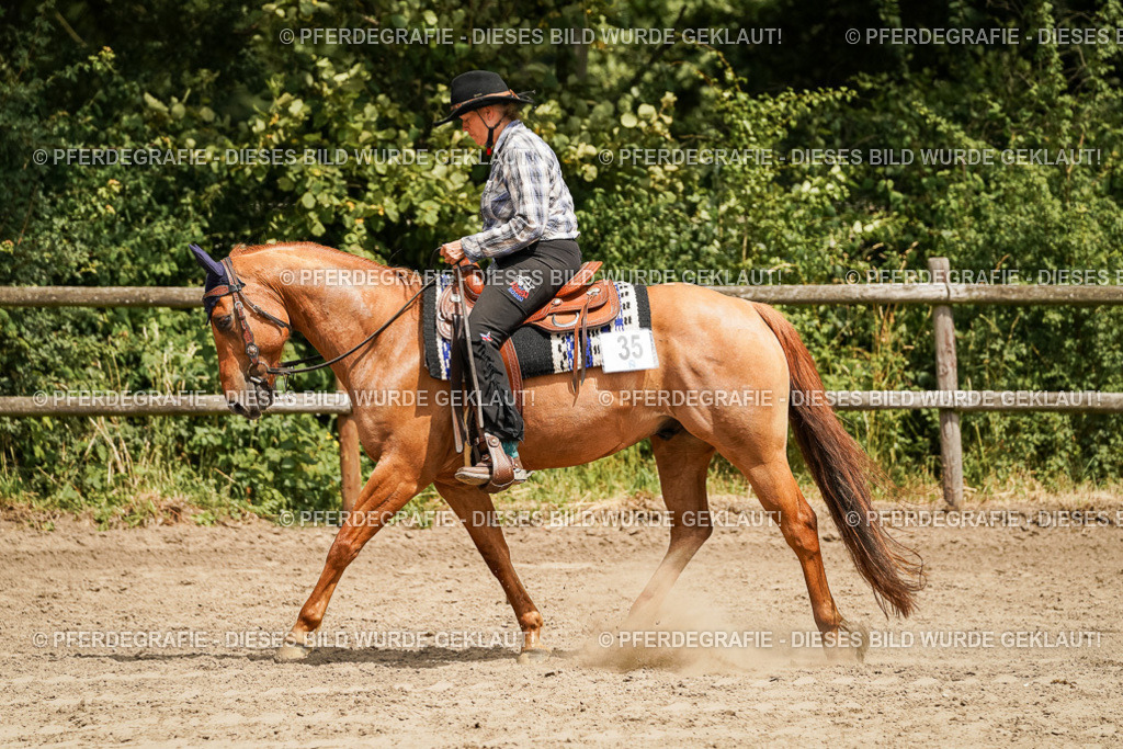 DSC09973 | Pferdegrafie