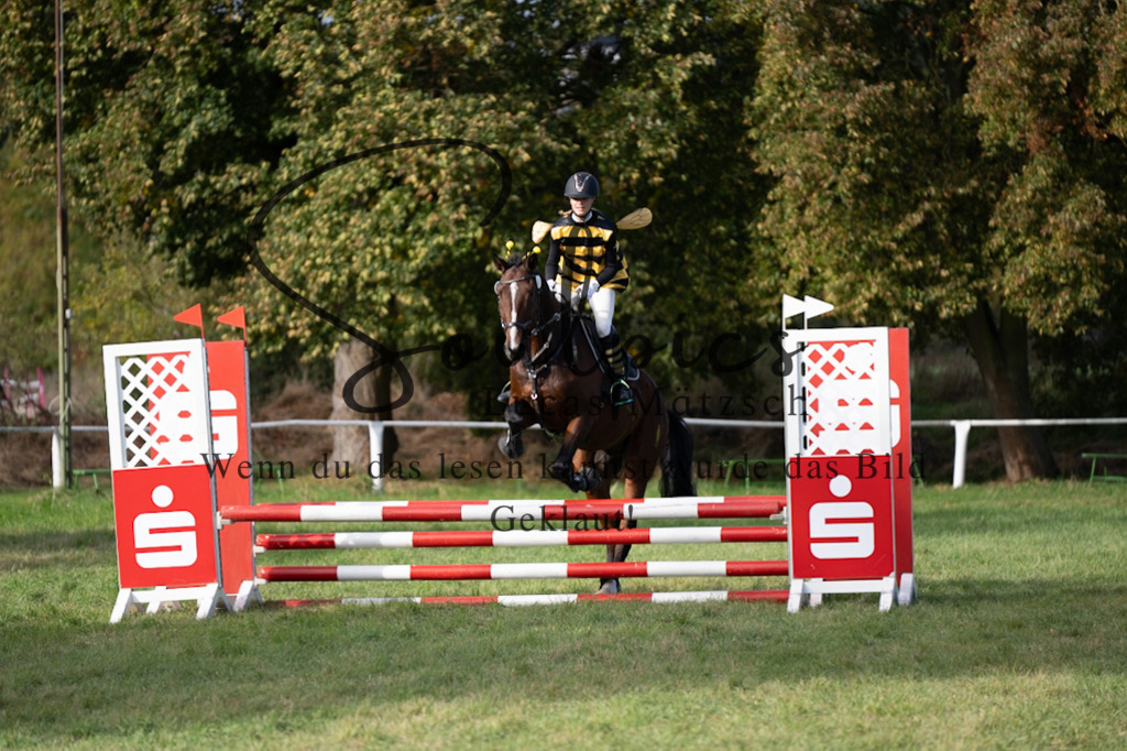 A7V06542 | Pferdefotograf