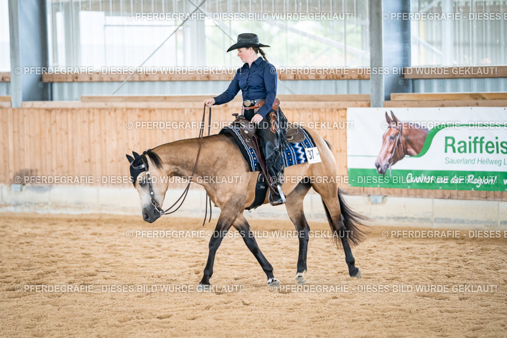 DSC03427 | Pferdegrafie