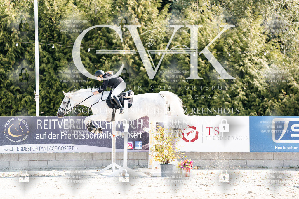 CK902454 | Turnierfotografie Pferdefotografie Trier Rheinland-Pfalz Pferdesport Reitsport Tierfotografie Sportfotografie Pferdevideo Pferdevideografie Equestrianvideography equestrianphotography  - Realisiert mit Pictrs.com