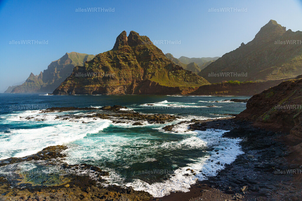 allesWIRTHgut Tierfotografie - allesWIRTHgut.de - 7IV00713 | Entdecke die faszinierende Welt der Natur- und Wildlife-Fotografie von Daniel und Bärbel. Inspirierende Bilder von wilden Tieren und kleinen Naturwundern.