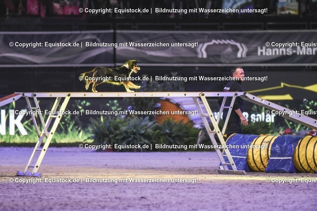 20231115_Dog-Agility_0165_TOMsPiC | Foto: Thomas Hartig