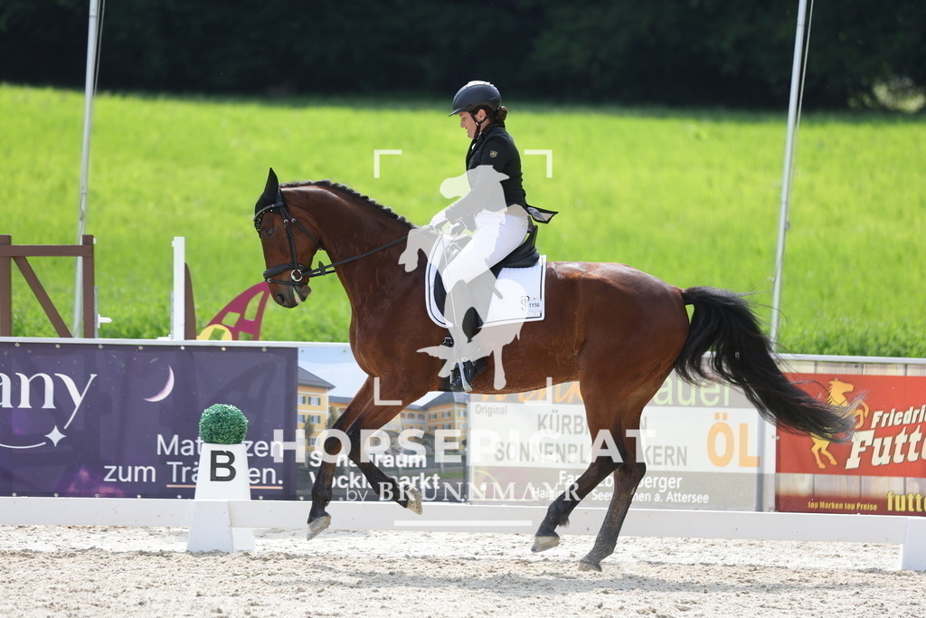 0P6A6169 | Willkommen bei Brunnmayr - Design & Fotografie – Ihrem Spezialisten für Reitturniere und Pferdeveranstaltungen in Oberösterreich, Salzburg und Bayern! Seit über 17 Jahren sind wir leidenschaftlich dabei.