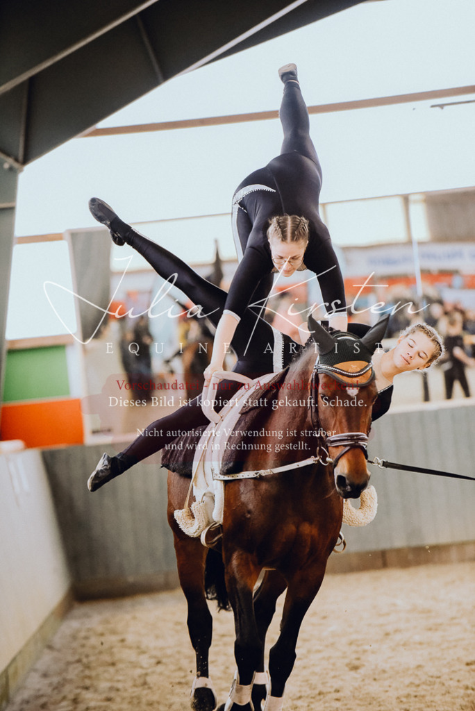 DSC_6901 | Pferde- und Turnierfotografie in Westsachsen. Pferdeportraits, Auftragszeichnungen und intuitive Kunst.