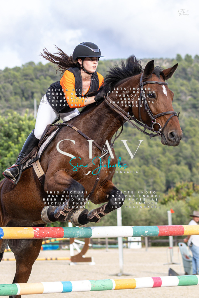 IMG_4790 | s-jay-photography - Realisiert mit Pictrs.com