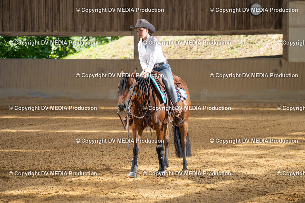 DSC00018 | dv-media-shop - Realisiert mit Pictrs.com