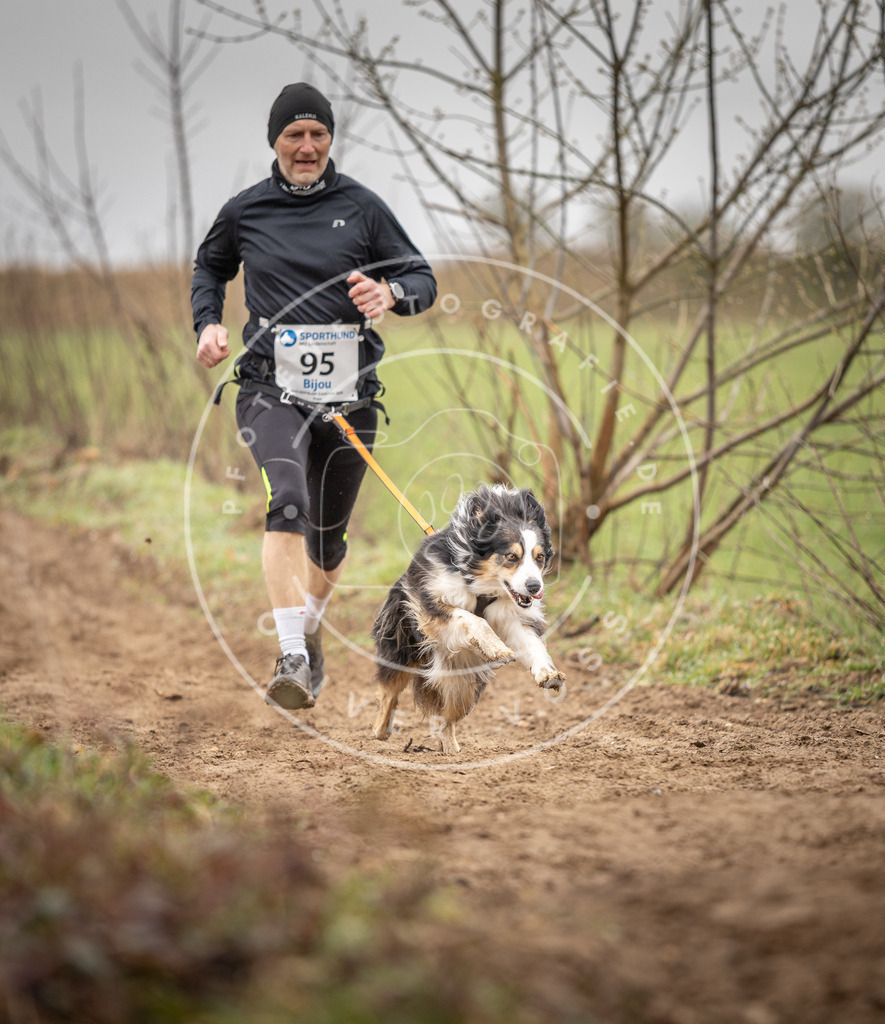 DV3A0078 | Hundefotografie, Tierfotograf, Pfotenfotografie, Fotoshooting Hund, Hunde Portrait, Hundesport, Hundeportraits, Heideshooting, Hunde, Sportfotograf, Hundefotograf, Turnierhundsport, THS,  - Realisiert mit Pictrs.com