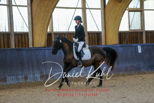 IMG_0406 | Turniersportfotografie; Pferdefotografie; Dressurfotografie