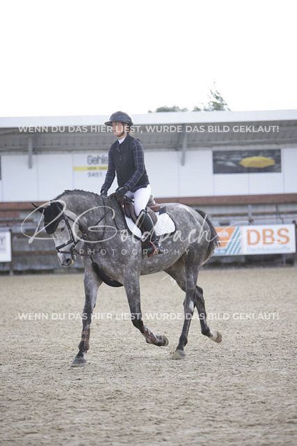 1J2A4686Antonia Selina Brinkop_ Drama Queen 6_ Kn414_ Havekost | Foto- und Videografie für alles rund ums Pferd. Hochwertige Bilder und Videos vom Spring- und Dressurreiten, Voltigieren & mehr. Jetzt aktuelle Veranstaltungen und Preise im Shop ansehen. - Realisiert mit Pictrs.com