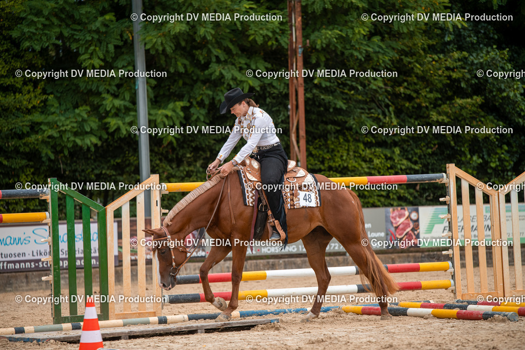 ZS2_8012 | dv-media-shop - Realisiert mit Pictrs.com