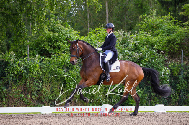 DKP41709 | Turnierfotos kaufen im Webshop von Daniel Kuhl Photography – entdecke professionelle Reitsportfotos aus Turnieren & Events. Hochwertige Turnierbilder online bestellen & sichern. Jetzt Fotos von Reitsportturnieren kaufen!