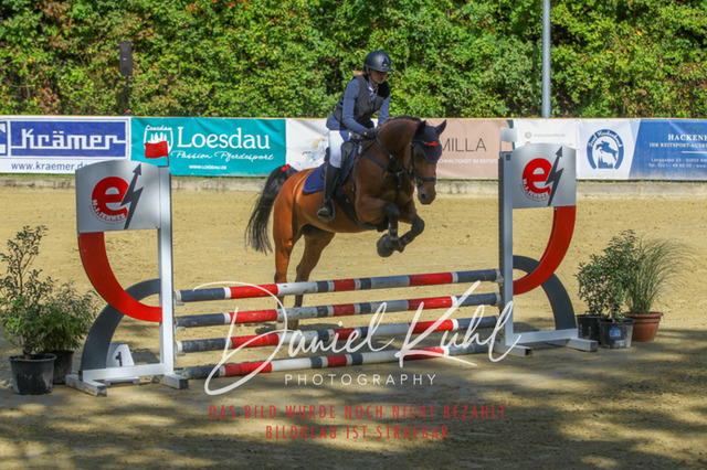 DKP42306 | Turniersportfotografie; Pferdefotografie; Dressurfotografie