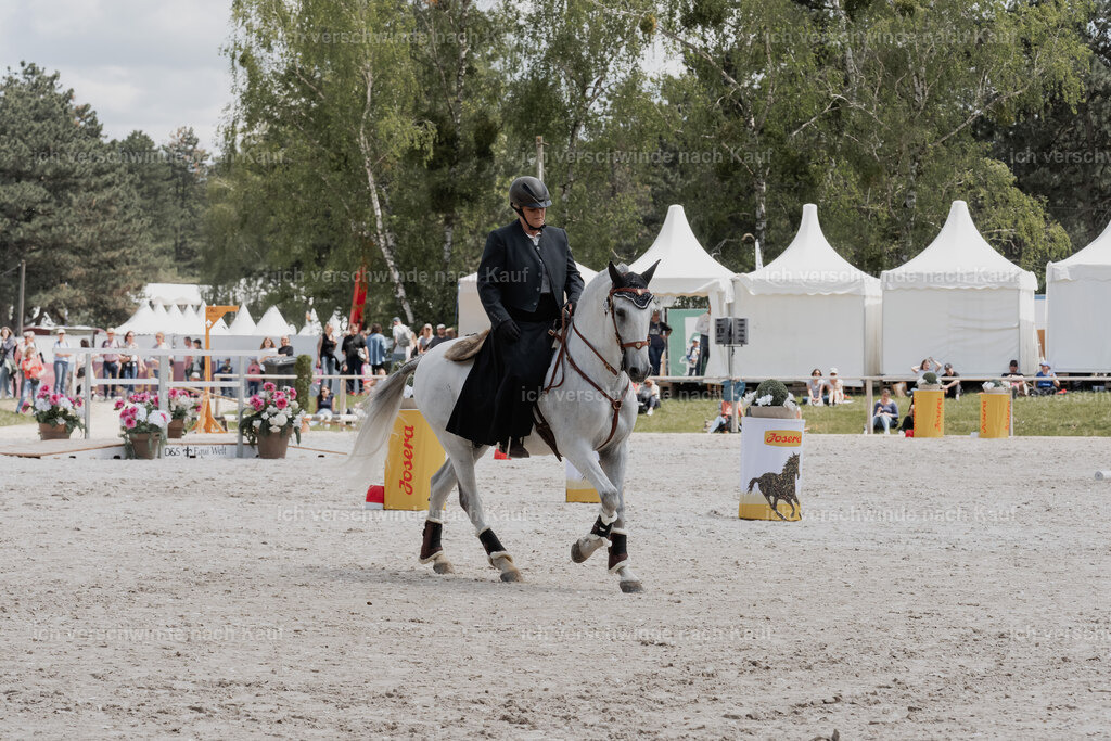 WE_ST_Stoib_321_PI2025_1131 | Pferd International München 2025