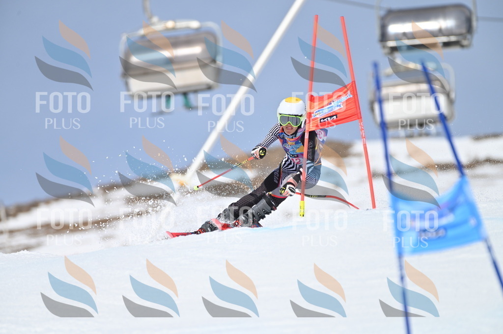 BGV_3471 | holidayphoto