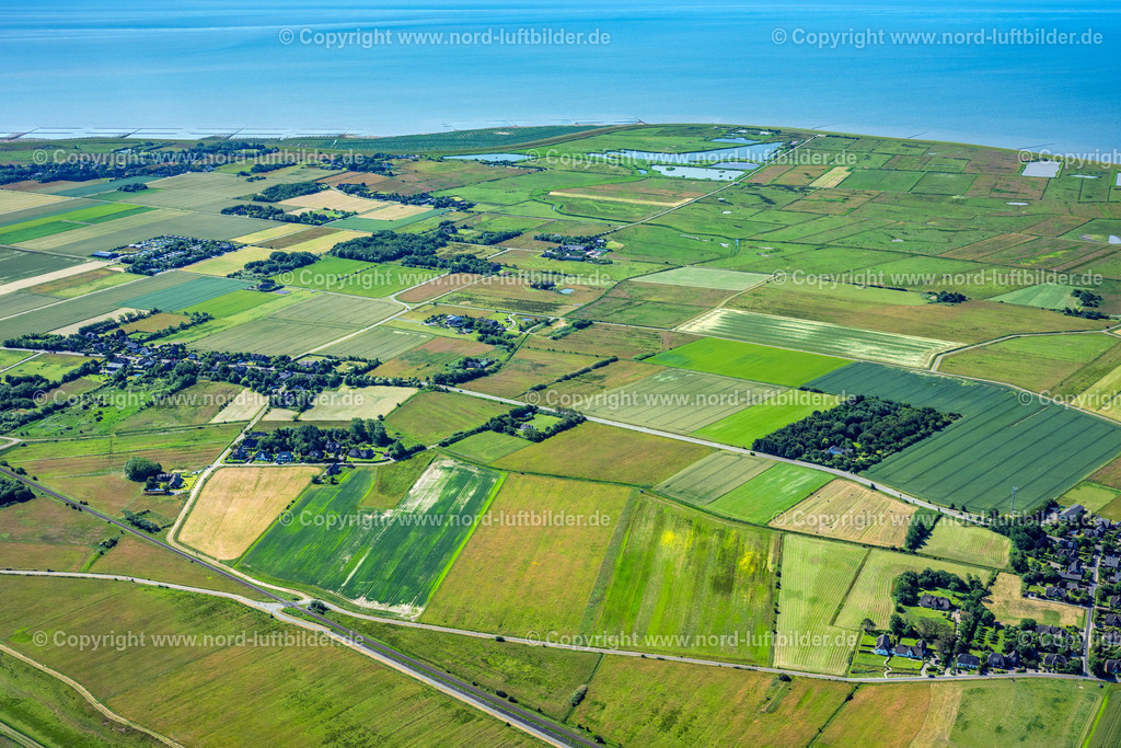 Sylt_Morsum_Wiesen_und_Felder_ELS_3404210625 | SYLT 21.06.2025 Wiesenland Ansicht von Morsum sum im Bundesland Schleswig-Holstein. // Meadowland view of Morsum sum in the federal state of Schleswig-Holstein. Foto: Martin Elsen