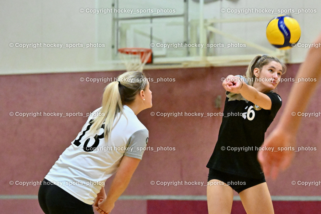ASKÖ Volley Eagles vs. VC Raiffeisen Dornbirn 26.11.2022 | #26 KUVEK Iva